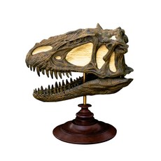 Rebor 恐龍頭骨化石eutyranus, 混色