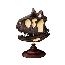 ribo 恐龍 頭骨 化石 肉龍, 混色