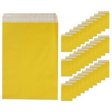 One HDPE雙層紙快遞袋芥末, 50入