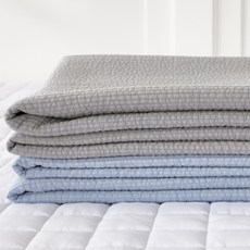 FRESH FIND 巴迪顏料洗滌塗抹, 藍色