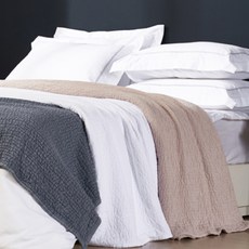 FRESH FIND 胺非洗塗, 粉色的