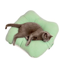 Pestep 貓咪麻藥坐墊, 薄荷綠