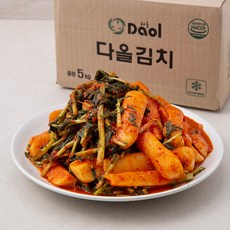 천년한옥 총각김치, 5kg, 1박스