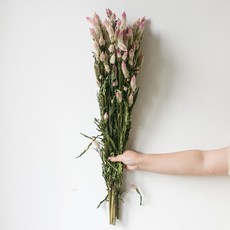 GAPANG 人造乾花, 01粉色