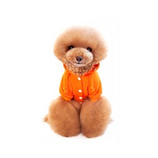 BLANKDOG 寵物按扣連帽T恤, 橘色