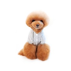 블랭크도그 반려동물 똑딱이 후드티, 그레이, 1개