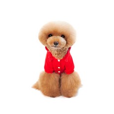 블랭크도그 반려동물 똑딱이 후드티, 레드, 1개