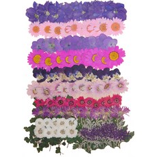 押花工藝綜合包 K508 100入, 混合色, 1套