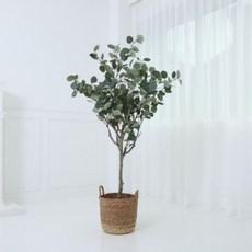 유칼립투스 조화 145cm, 혼합색상, 1개