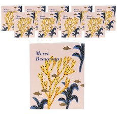 海底Mexi卡片, 混合顏色, 10個