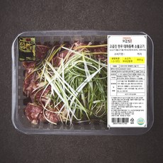 고급진 한우 대파듬뿍 소불고기, 1개, 600g