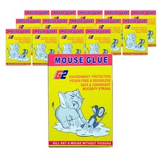 粘膠捕鼠器, 1件, 15個