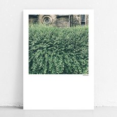 봄날프로젝트 캔버스 포스터 정원 홈인테리어/홈데코/디퓨저 반품 최저가 1,820원