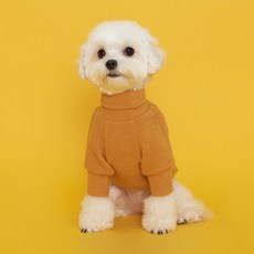 Flot 狗狗高領針織衫, 黃色, 1個