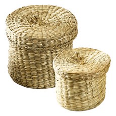 Paintinfo 蘆葦藤編圓形附蓋收納籃 大 + 小組合, 單一顏色, 1套