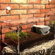 360度白蘋果寵物狗窩, 透明度, 1個