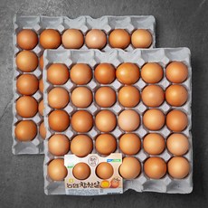 농협 무항생제 특란, 1개, 60구