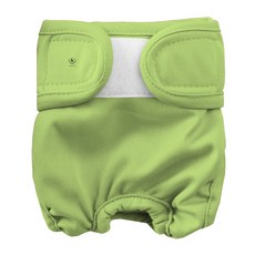 딩동펫 반려동물 베이직 암컷 위생팬티 그린, L, 1개입, 1개