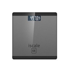iscale SE 미니 디지털 체중계, 메탈그레이, 1개
