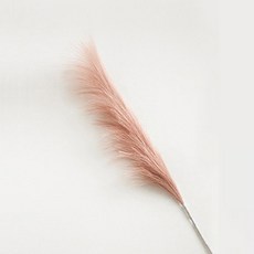 真心設計 蓬鬆粉彩大型感性粉黛亂子草, 絲絨粉, 1個