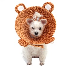 Pet Daily 寵物豹紋造型護頸圈 M號, 1個