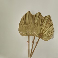 GAPANG 乾燥花 DRYB230 3入, 06號 綠色