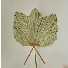 GAPANG 乾燥花 DRYB230 3入, 08號 綠色