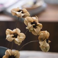 GAPANG 乾花佈置, 白色數字 01