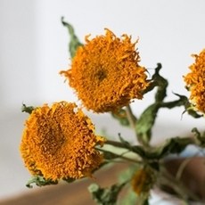 GAPANG 人造乾燥花, 04號 黃色, 1個