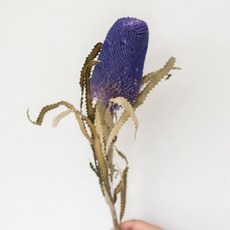 GAPANG 乾燥花 人造花 02號, 紫色