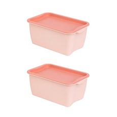 JCP彩色收納箱, 粉色的, 2個