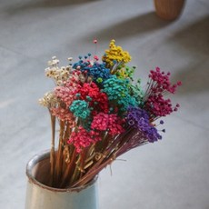 GAPANG 星辰花乾燥花, 混合 (12號/DRYB12812)