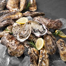 맛있게 쪄먹는 별미 통영 석화, 4kg, 1개