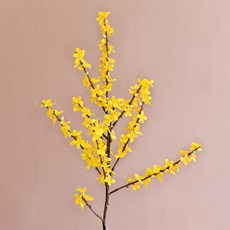 GAPANG 乾花 DRYE019, 03（黃色）