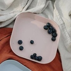 무쉬 플라스틱 플레이트 유아동 식기, 블러쉬, 2개