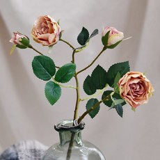 GAPANG 玫瑰乾花05號 DRYE012, 黃色的