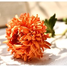 GAPANG 菊花乾花 DRYE058, 03（橙色）