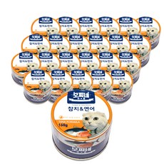 모찌네 생후 3개월 이상 고양이 츄릅 간식캔, 연어+참치, 160g, 24개