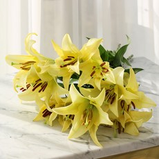 생화 센터피스 옐로우 백합 꽃다발, 혼합색상, 1개