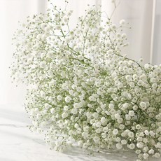 아임 플라워 안개꽃 생화 꽃다발, 혼합색상