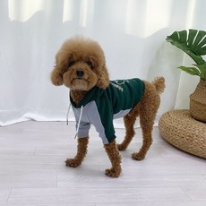 U&Pet 狗狗甜心繽紛色彩連帽T恤, 綠色