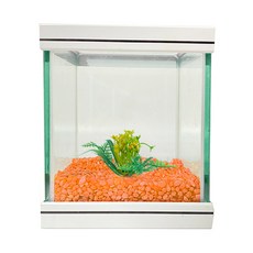 로라펫 15큐브 어항 + 탠저린 오렌지 +인조수초, 탠저린오렌지(컬러샌드), 램덤발송(인조수초), 1개