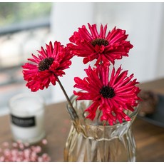 GAPANG 人造乾燥花, 12號