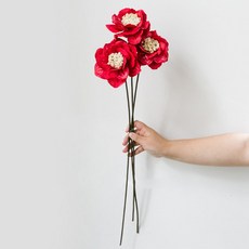 GAPANG 乾花, 04紅色