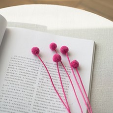 GAPANG 乾燥花 DRYB084, 13號 紅色(DRYB08413)