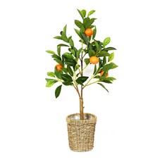 Garden in the City 人造樹籃套裝, 橙色/78(30)