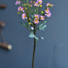 GAPANG 乾花菊花06號 DRYE008, 紅色的