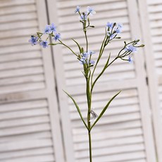 GAPANG 乾花 DRYE087, 04（藍色）