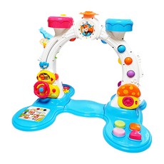 이앤오 오감만족 럭셔리 아기 체육관, 혼합색상, 1개