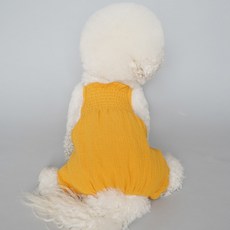 Bydamsumi狗狗水壺褲, 芥末